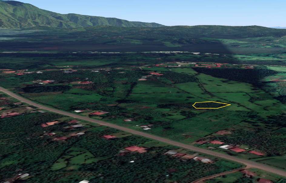 Lee más sobre el artículo Sobre el terreno