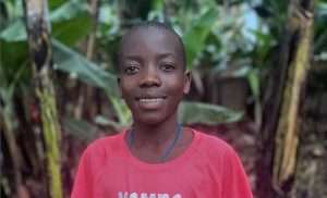 Lee más sobre el artículo Os presentamos a DAVID